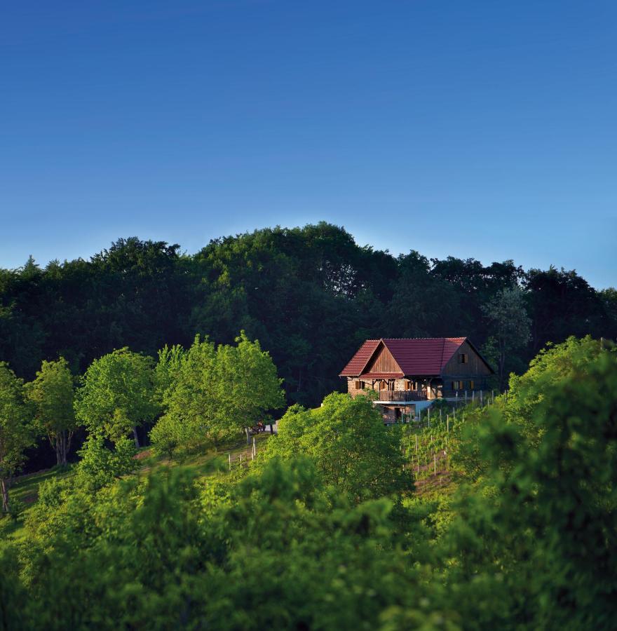 Green Silence Bedenica Exterior foto